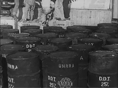 Fusti di DDT