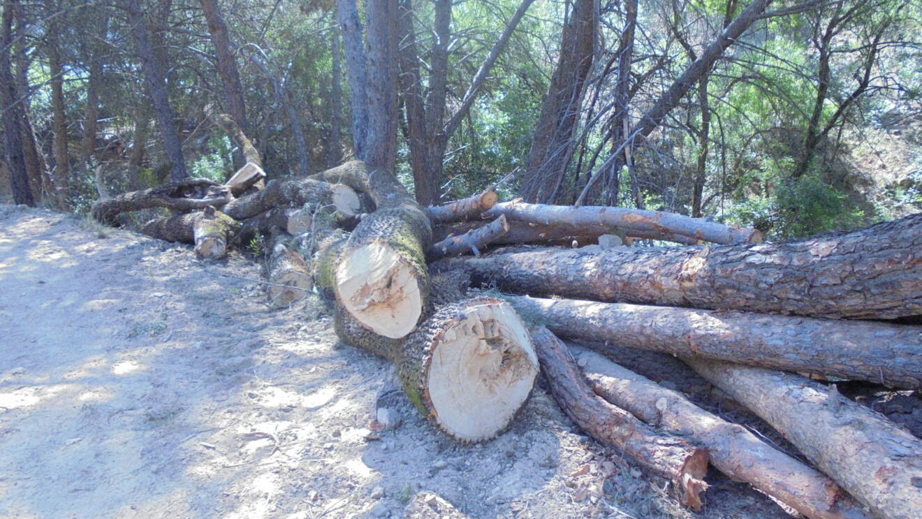 El Ayuntamiento de Valdemorillo desafía al Defensor del Pueblo y persiste en no facilitar información ambiental