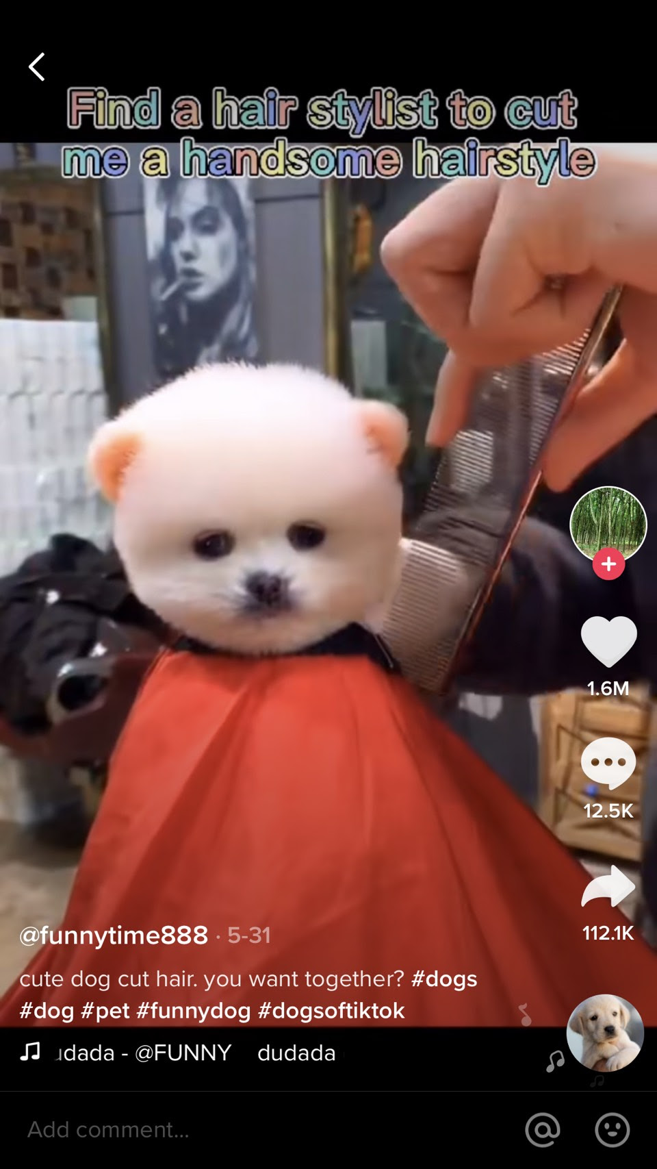 TikTok Trend June 2020 TikTok for Business