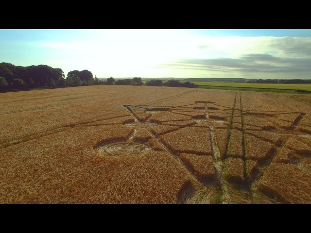 Crop Circle ~ Target Wood, nr Badbury Rings, Dorset.  Sddefault