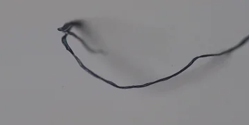 URGENT: Doctor Confirms Parasitic Worms on Facemasks ODGWIMHY4S