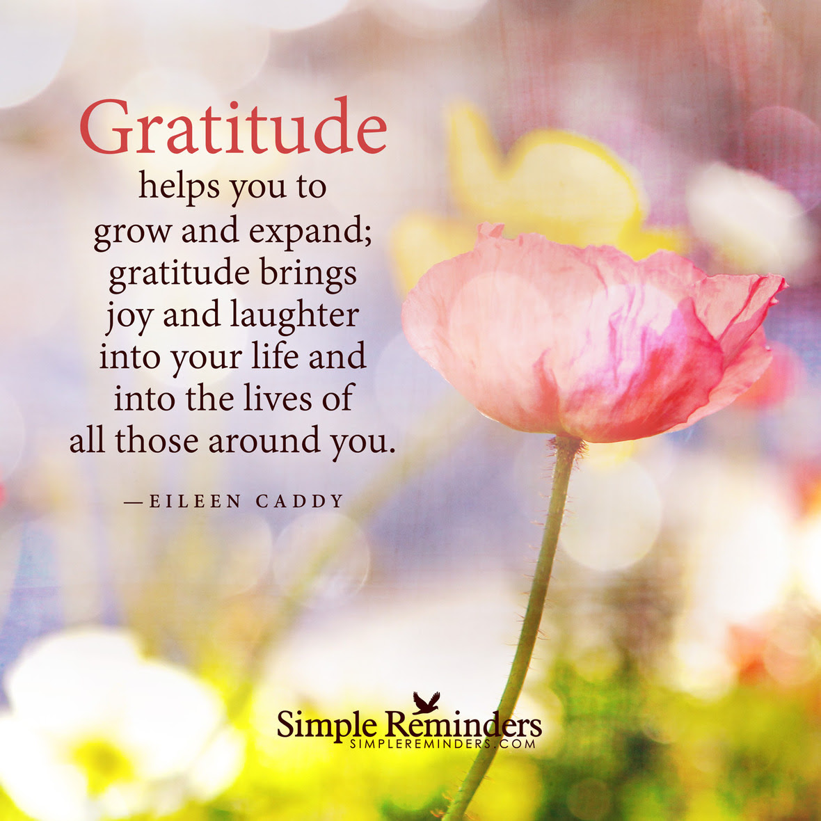 eileen-caddy-gratitude-grow-expand-8y3e