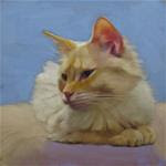 Serena painting of peaceful blue eyed white cat - Posted on Thursday, April 16, 2015 by Diane Hoeptner