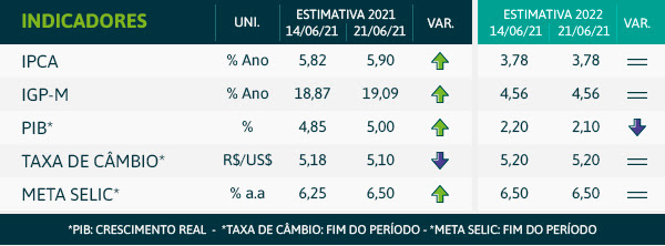 grafico-focus-nn-ed-64