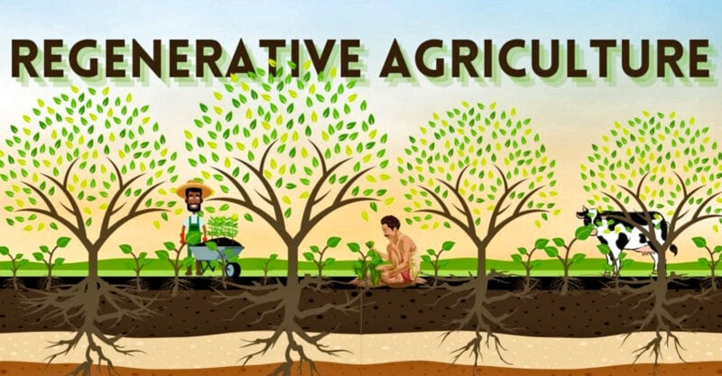 tendința agriculturii caracteristica agriculturii regenerative