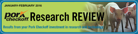 ResearchReview
