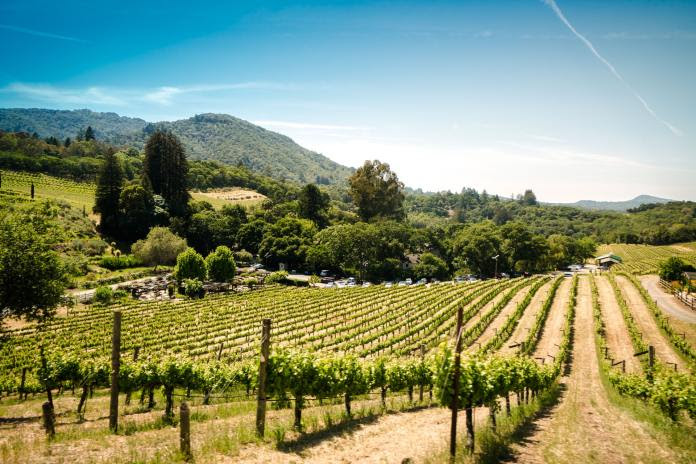 trent-erwin-sj4M_cwUGB0-unsplash Compass Napa Sonoma Valley San Francisco Mark A. McLaughlin Northern California wildfire