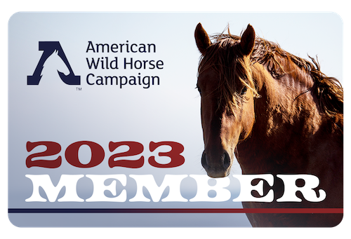  A brown mustang faces the camera. The card reads "2023 Member"