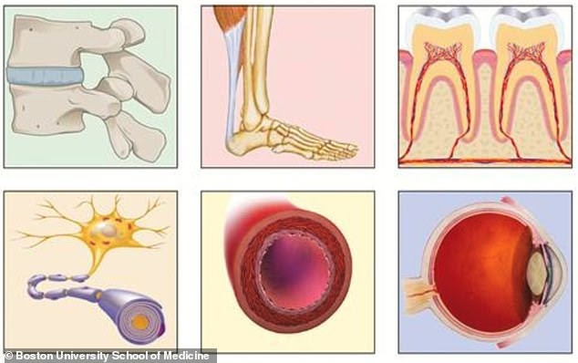 The team say that certain proteins found in the human body - including collagen, nuclear pore proteins and cytosolic proteins remain in the body throughout life and these can help identify the true biological age of a human