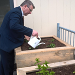 Wethouder Roy Luca geeft planten in moestuinbakken water