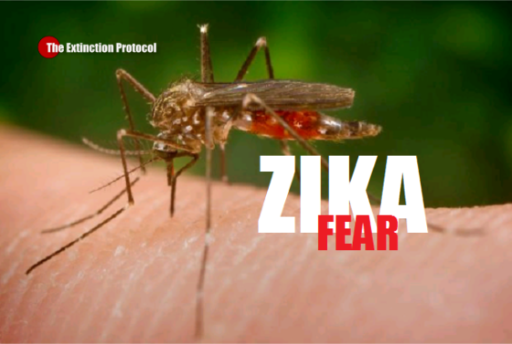 Hawaii declares state of emergency over Zika virus, dengue fever outbreak – Zika spreads in South Am Zika