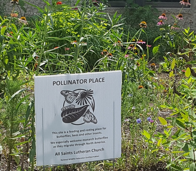 All_Saints_Luteran_pollinator_garden.jpg