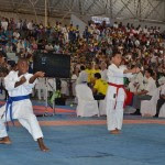 campeonato bras karate 2