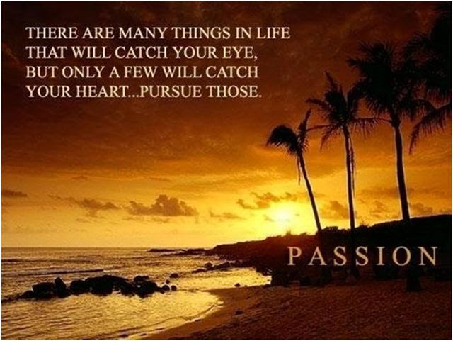 Pursue-Passion