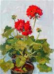 March Geraniums,still life,oil on board,12x9,price$450 - Posted on Wednesday, March 25, 2015 by Joy Olney