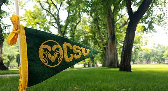 Pennant on the Oval