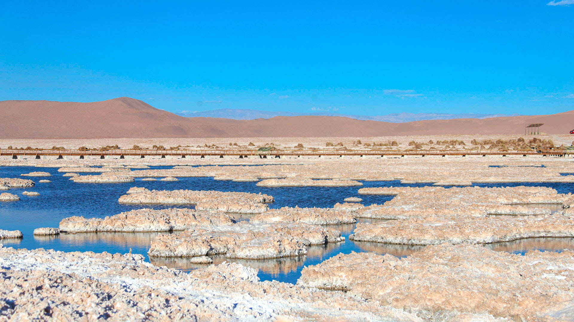 Puquios del Salar de Llamara está ubicado al norte de Chile, en la región de Tarapacá. (Foto: Sernageomin)
