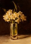 Paperwhites in Glass,  Oil on 5"x7" Linen Panel - Posted on Sunday, March 22, 2015 by Carolina Elizabeth