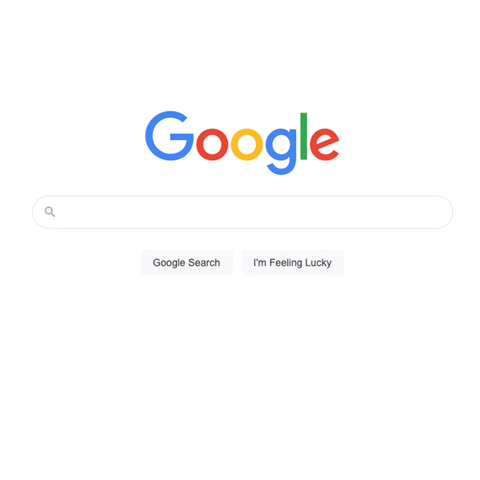 GIF of a google search that says "build back better framework"