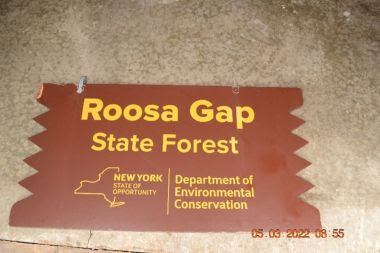 brown and yellow forest sign that says 'Roosa Gap State Forest"