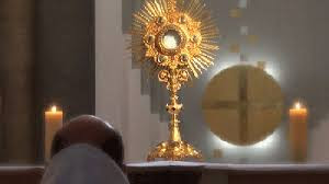 Vierge Pélerine - 30 jours à la Consécration « à Jésus par le Cœur Immaculé de Marie »  6729555531486746694
