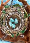 ACEO Robins Eggs Blue in Nest in Tree Springtime Miniature by Penny StewArt - Posted on Tuesday, March 17, 2015 by Penny Lee StewArt