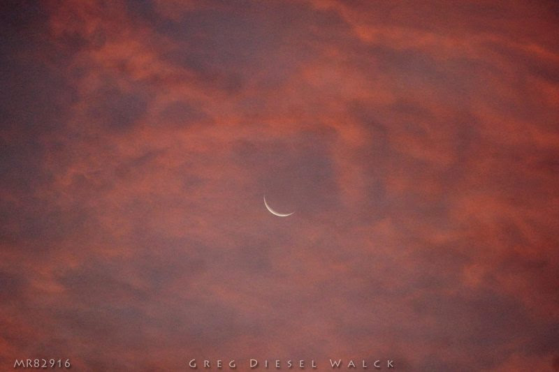 Greg Diesel-Walck captured the waning moon on August 29, too. He wrote: