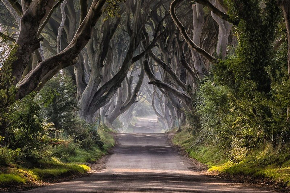 Photo of Ireland