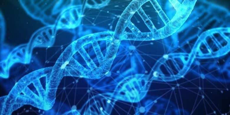 New method of gene analysis prevents early death in familial hypercholesterolemia