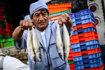 Modificarán el ROP de la Merluza para incluir a pescadores artesanales del norte