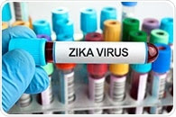 Texas Biomed scientists develop new animal model that mimics key features of Zika infection