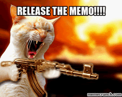 #ReleaseTheMemo Goes Viral Release-memo-cat
