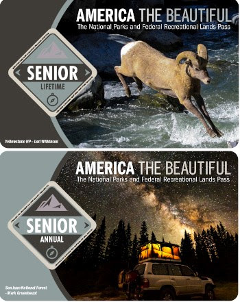 Interagency Senior Lifetime Pass and the 2022 Interagency Senior Annual Pass Image of the Interagency Senior Lifetime Pass with a bighorn sheep jumping over water and the 2022 Interagency Senior Annual Pass with a 4-wheel drive vehicle with a tent on top under a starry night sky.