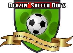 soccerdogs.png
