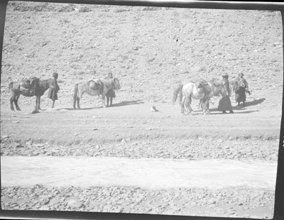 Road leading into Gyantse