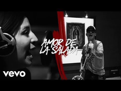 Ver video