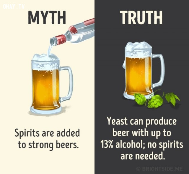 7. Cồn/rượu mạnh được cho thêm vào bia để gia tăng độ mạnh. Sự thật là men có thể sản xuất bia với lượng cồn lên đến 13%, không cần thiết phải cho thêm cồn/rượu mạnh vào.,nhận thức sai lầm,các loại thức uống,khám phá,sự thật thú vị,những điều thú vị trong cuộc sống
