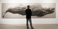 Stunning Life-Size Photos Capture Close Encounters With Whales