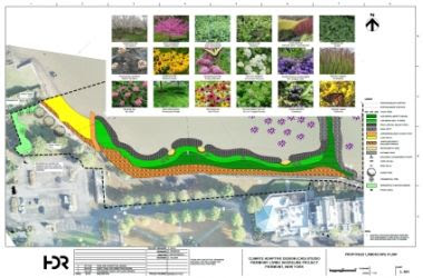 Design for Piermont Phase II - shoreline vegetation and other natural elements.
