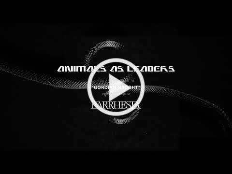 ANIMALS AS LEADERS - Gordian Naught (Official Audio Stream)