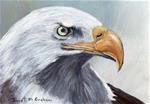 Bald Eagle ACEO - Posted on Wednesday, December 3, 2014 by Janet Graham