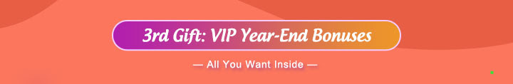 3rd Gift: VIP Year-End Bonuses