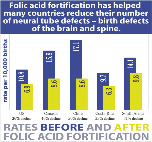 Folic Acid Fortification