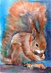 5x7 Red Squirrel Eating Acorn Watercolor and Pen by Penny Lee StewArt - Posted on Saturday, January 17, 2015 by Penny Lee StewArt