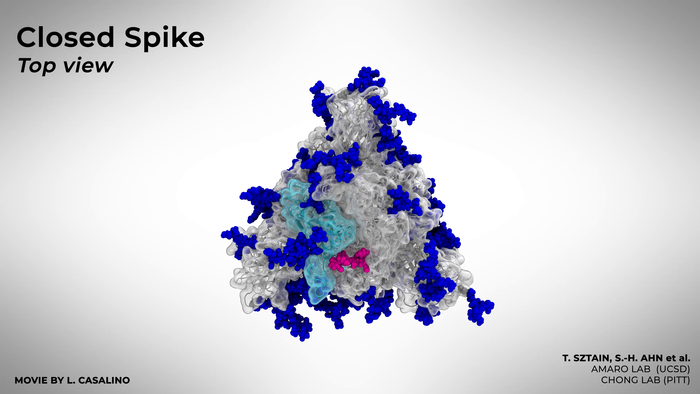 The Glycan Gate Opens