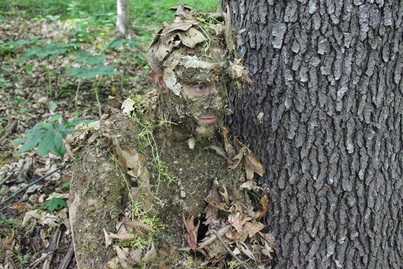 natural camouflage in woods