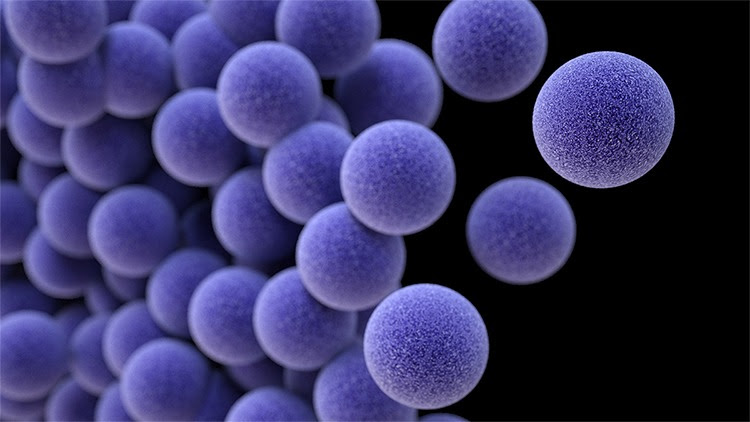 The figure shows an illustration of a scanning electron micrograph image of methicillin-resistant Staphylococcus aureus bacteria, one of the most common infection-causing pathogens.