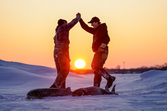 Two anglers celebrating their lake sturgeon catch with a high five on a frozen lake.