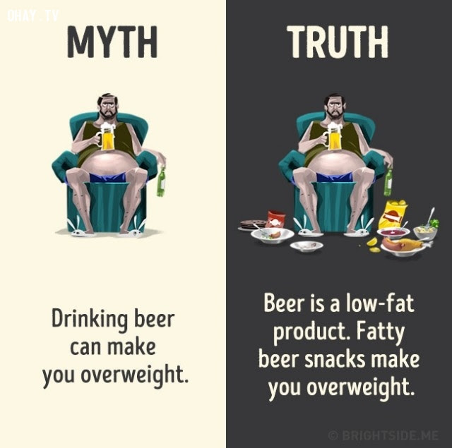 8. Uống bia khiến bạn thừa cân. Sự thật bia là một sản phẩm ít chất béo, chất béo trong mồi nhậu mới khiến bạn thừa cân.,nhận thức sai lầm,các loại thức uống,khám phá,sự thật thú vị,những điều thú vị trong cuộc sống
