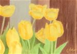 Yellow Tulip - Posted on Friday, April 10, 2015 by Esther Lau